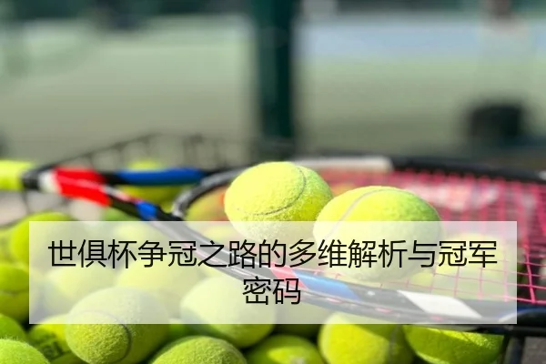 世俱杯争冠之路的多维解析与冠军密码