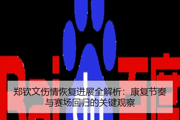 郑钦文伤情恢复进展全解析：康复节奏与赛场回归的关键观察
